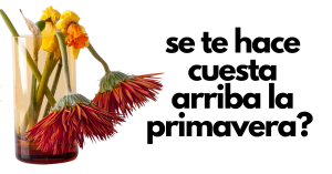 Flores marchitas en un vaso representando el cansancio de la astenia primaveral