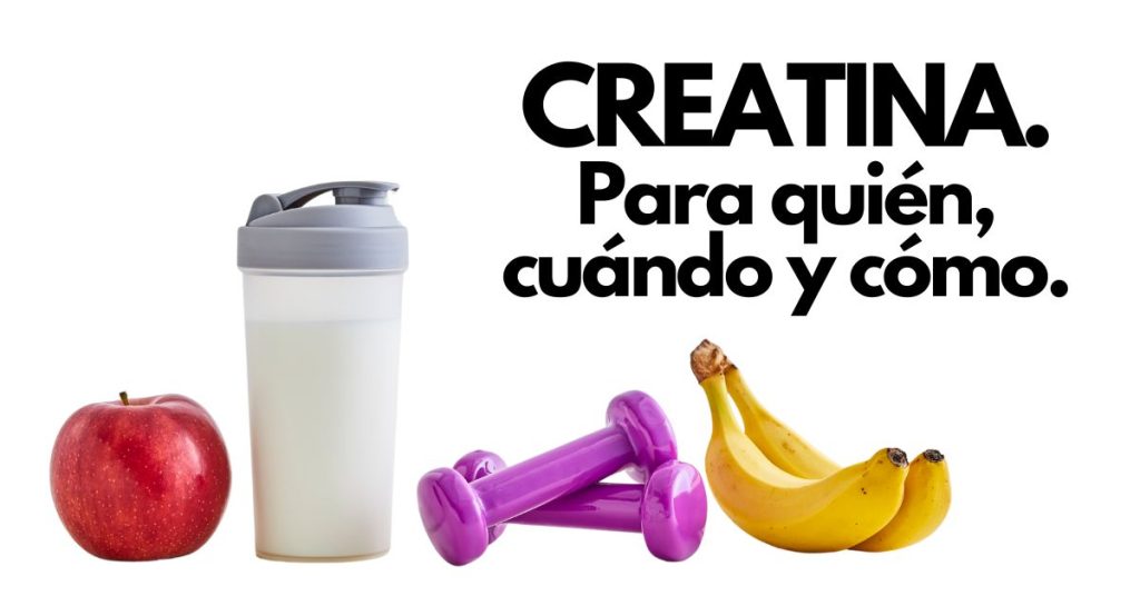 Shaker de batido junto a frutas y pesas pequeñas, con texto 'Creatina: para quién, cuándo y cómo', representando suplementación saludable y estilo de vida activo